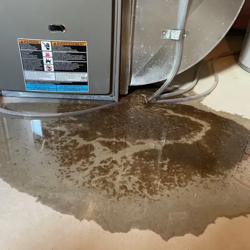 Appliance Leak Cleanup in Deer Isle, ME